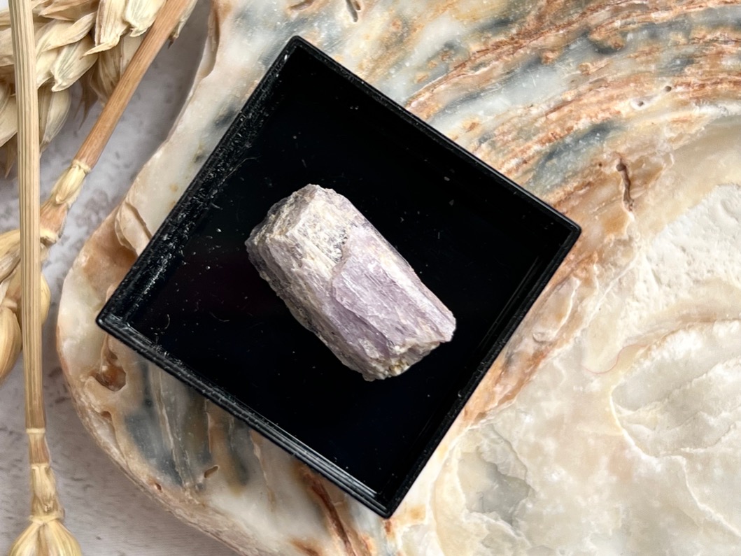 Образец скаполита в пластиковом боксе OBM-0678, фото 4