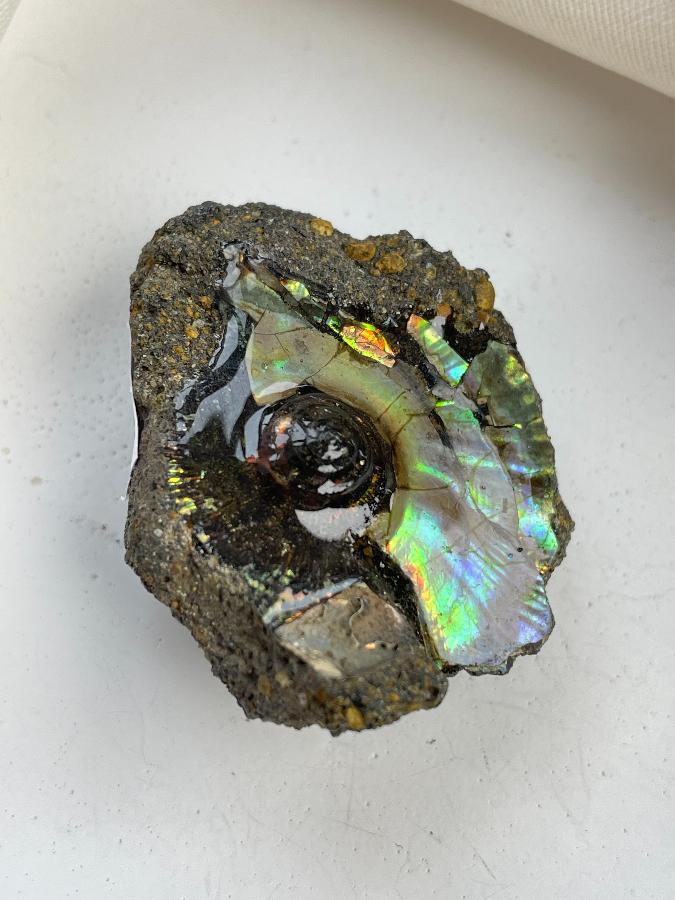 Аммолит 3,6 х 3,2 х 1,5 , фото 3