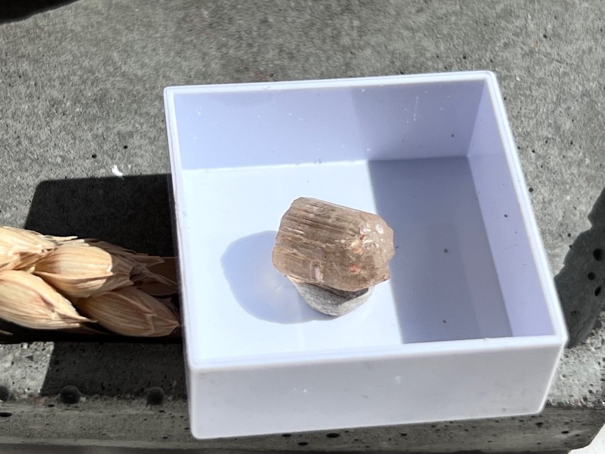 Образец скаполита в пластиковом боксе OBM-0919, фото 4