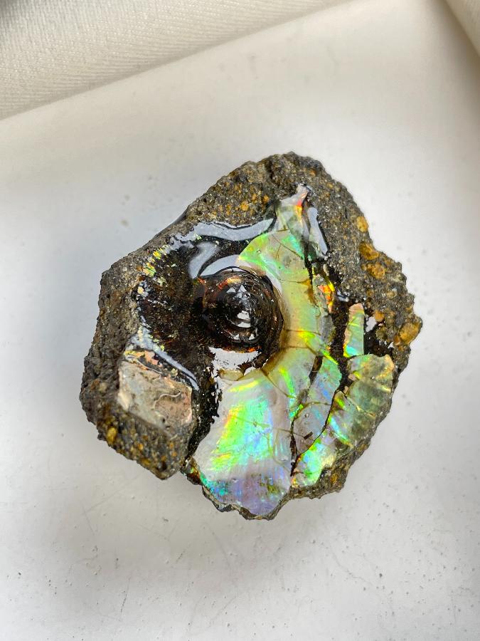 Аммолит 3,6 х 3,2 х 1,5 , фото 1