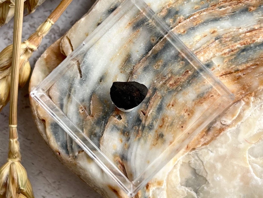 Метеорит каменный хондрит в пластиковом боксе MT-0026, фото 3