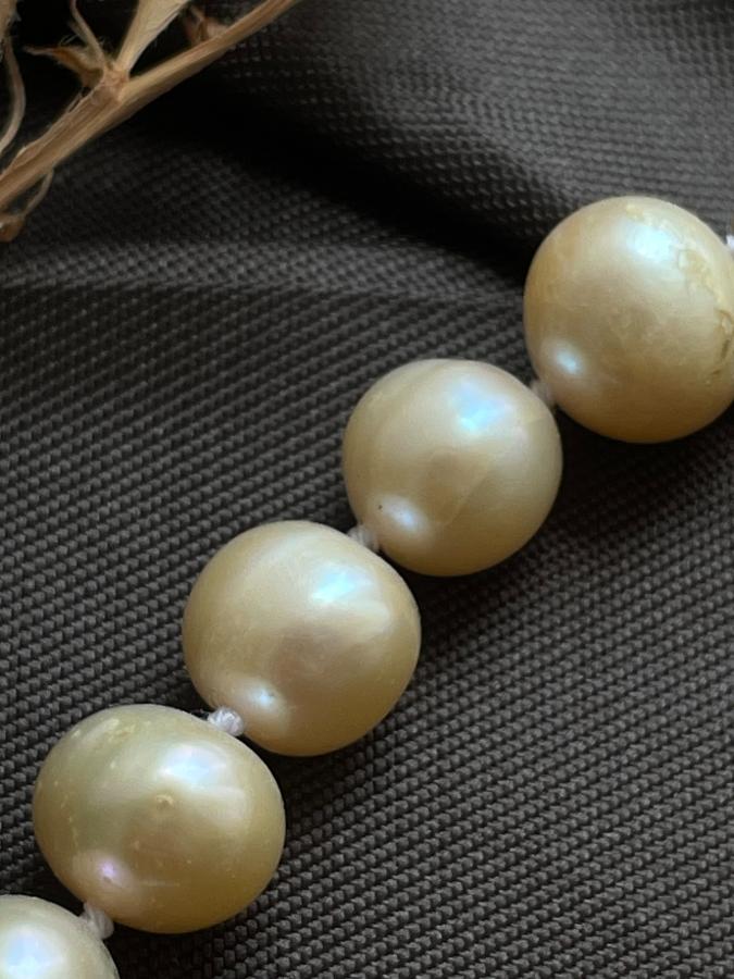 купить Бусы из жемчуга, 43 см , фото 1