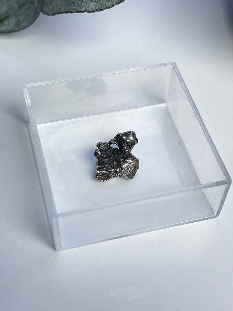 Метеорит Кампо-дель-Сьело в пластиковом боксе MT-0047, фото 1